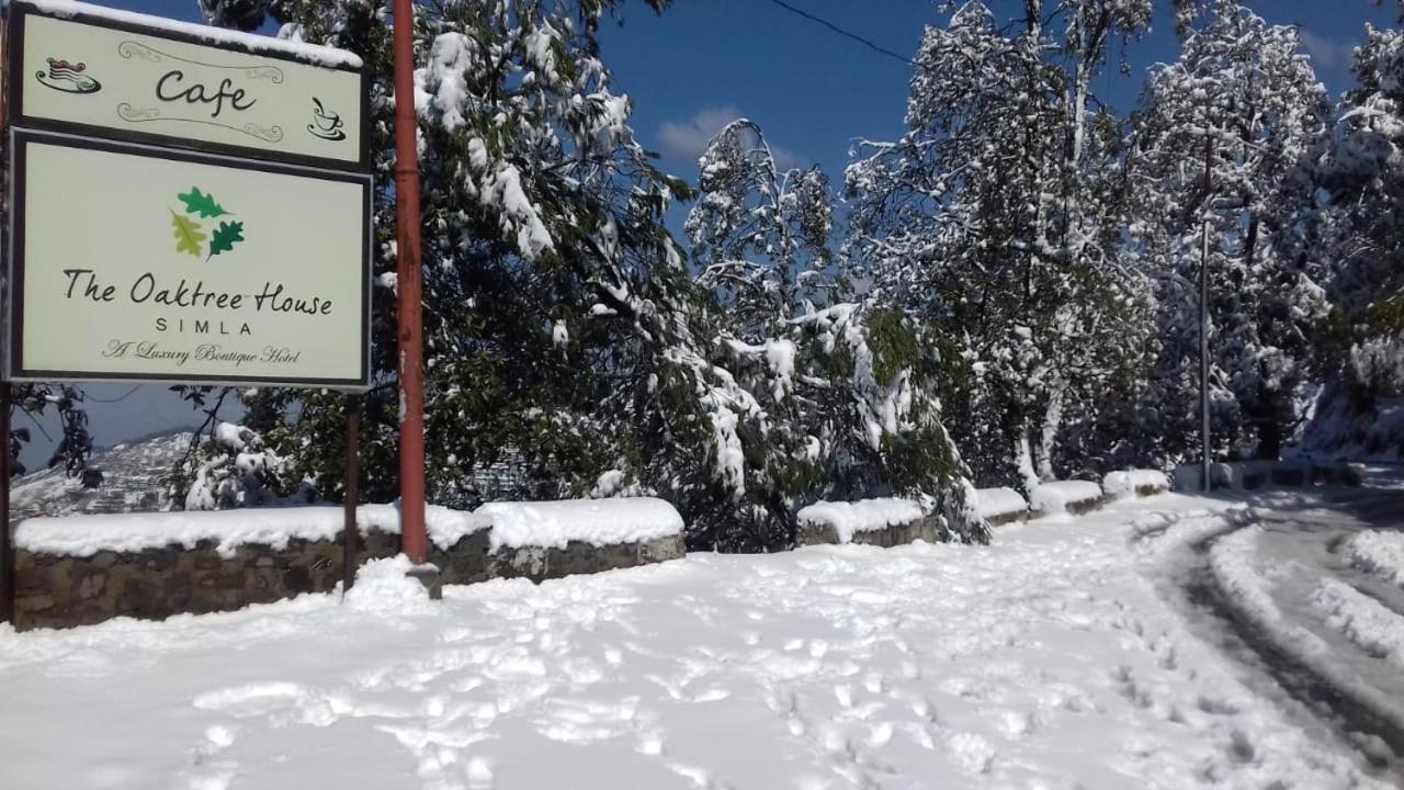 מלון שימלה The Oaktree House מראה חיצוני תמונה